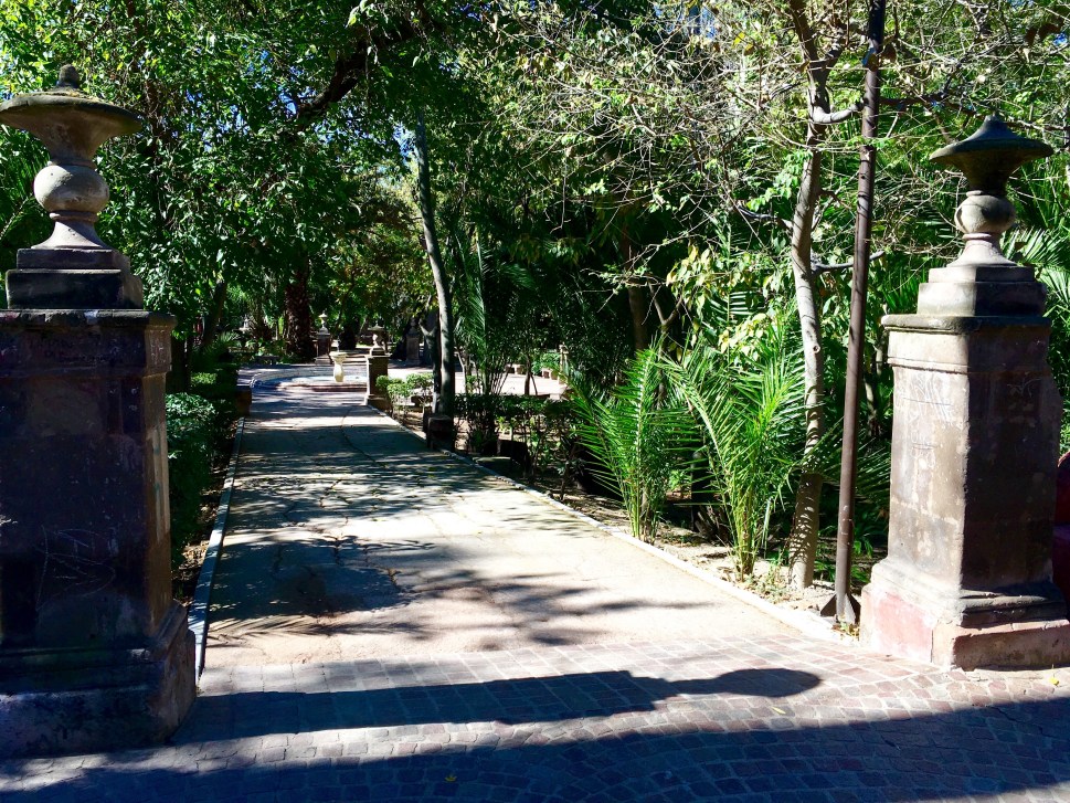 FullSizeRender 2 (2)