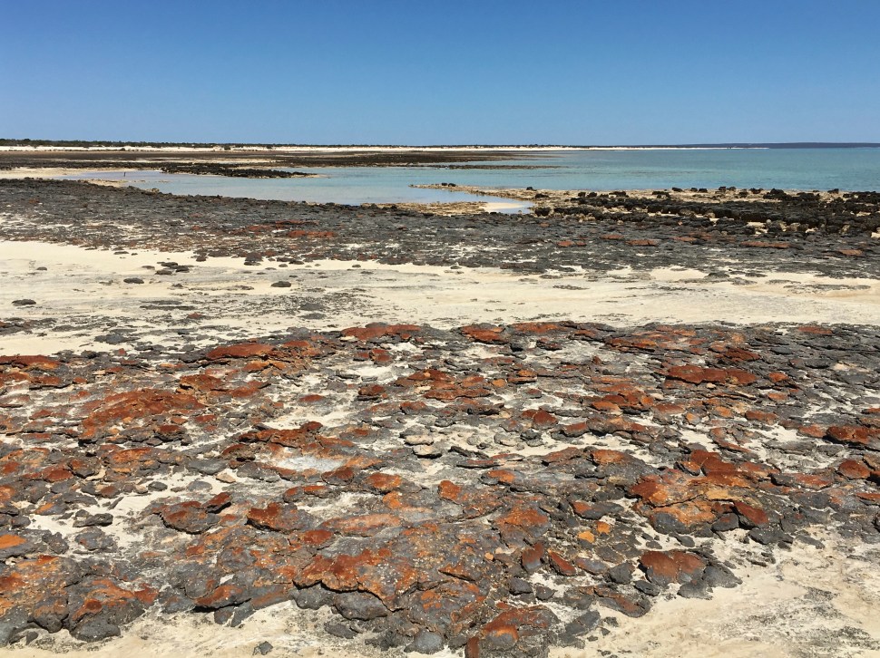 Processed with Snapseed.