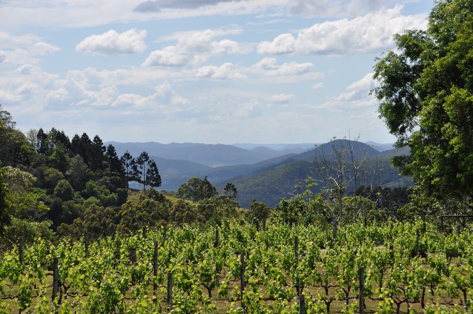 Montville hinterland