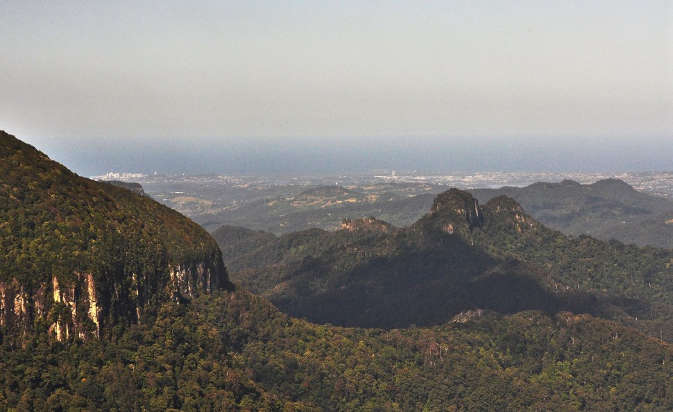 Springbrook Nat Park