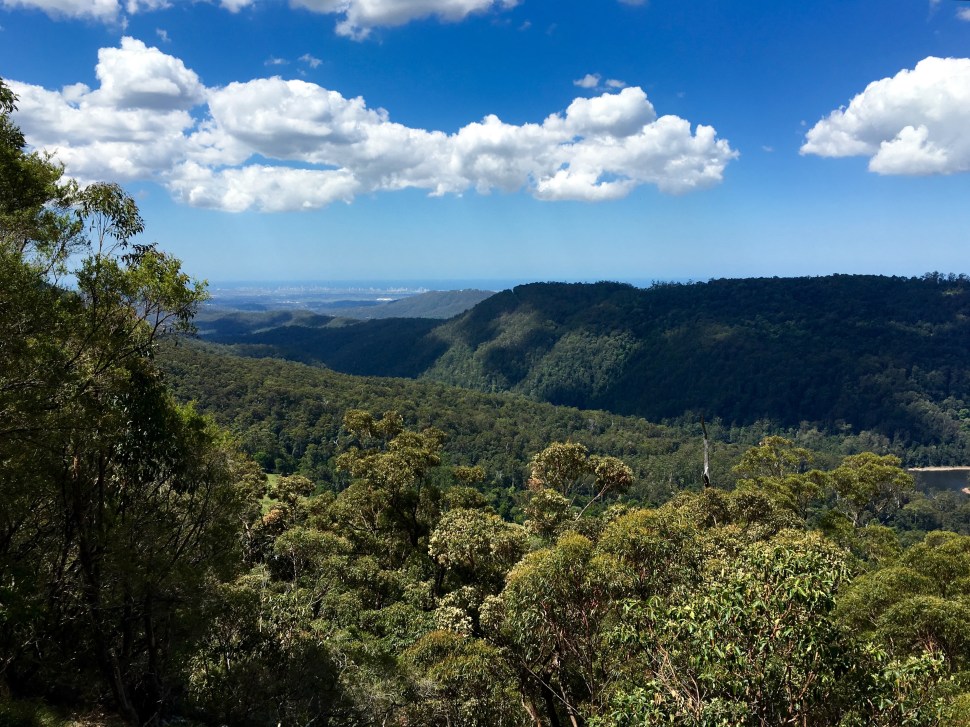 Springbrook Nat Park