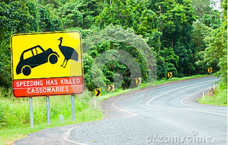 screen-shot-2017-02-12-at-12-13-51-pm